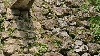 雨が多い高知ならでは