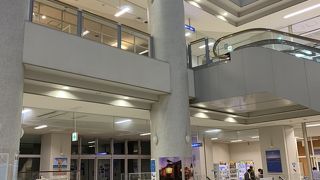 新日本海フェリーの拠点 新しくてキレイ