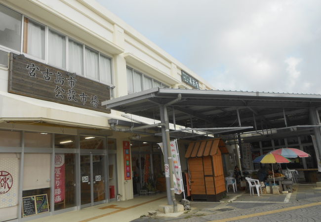 宮古島公設市場 クチコミ アクセス 営業時間 宮古島 フォートラベル 宮古島公設市場 クチコミ アクセス 営業時間 宮古島 フォートラベル