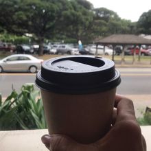 Fresh Knots 20% Kona Brendにした。