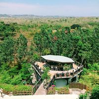 フォレストバー