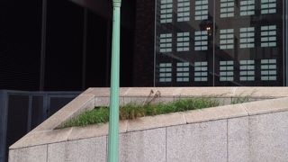 実際にガスで点灯しています