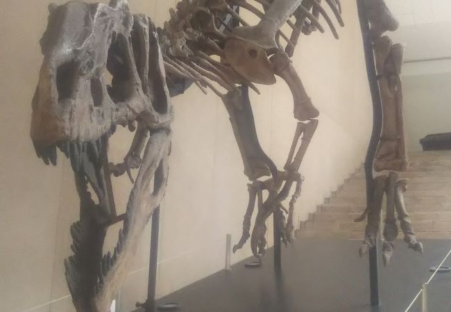 無料、しかも写真撮影可能