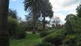 小さなけどね！