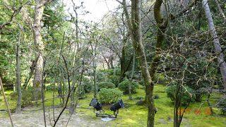 平安神宮には何度も来ていますが、神苑を訪問したのは初めてでした。正直、存在も知りませんでした。