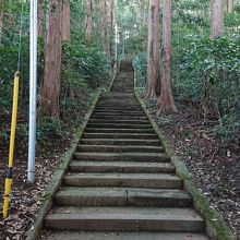 愛宕神社までの道のりです。結構登ります。