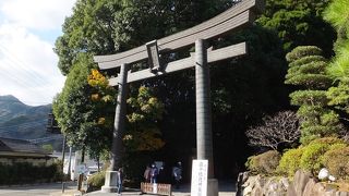 案外こじんまり