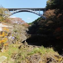 岩の上から。