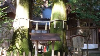 ちょっと距離が離れている、かも。