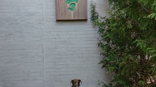 五稜郭公園を散歩後に一休み