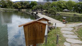 本物と比べては失礼ですが