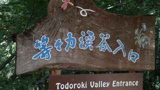 一度は出かけてみて！