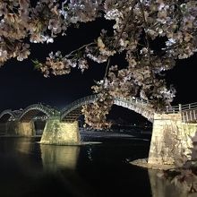 錦帯橋と桜