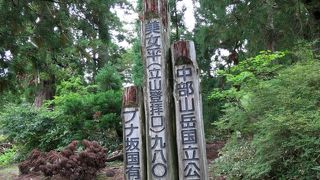 出歩く人は少な目