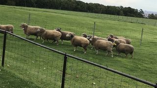 札幌からバスで一本。
