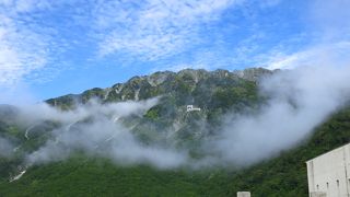 黒部の山々と高山植物