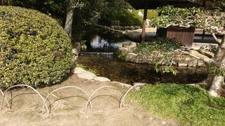 素晴らしい庭園