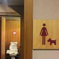 トイレにも可愛い犬マーク。どこもかしこも犬使用