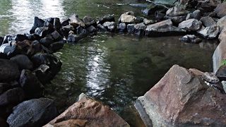 秘湯混浴（夏）