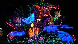 トウーンタウン近くで見ました