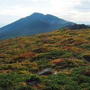 2019年の紅葉は少し遅れています