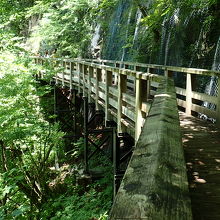木道もありますが、そうでない所もあるので運動靴がおすすめ