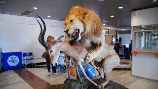 この国の入国手続きの時間がかかること、、、、、、