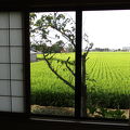 源泉かけ流し＠田圃の中の温泉旅館