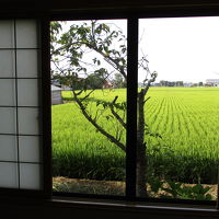 田圃ヴュー