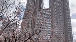 遠くからでもよくわかり、絶対見逃せない観光アトラクション