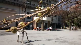 公園内及び周辺には、重要な史跡の観光アトラクションが多く、必見