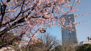 たいへん洗練された店舗や飲食店が多いです。