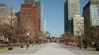 東京駅から皇居方面に伸びる幅の広いイチョウ並木の道路
