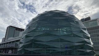 観光で連れてこられたら迷惑だな。