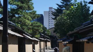 武家屋敷が並んでいます