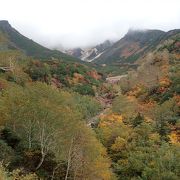 紅葉の時期にお勧めです