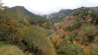 紅葉の時期にお勧めです