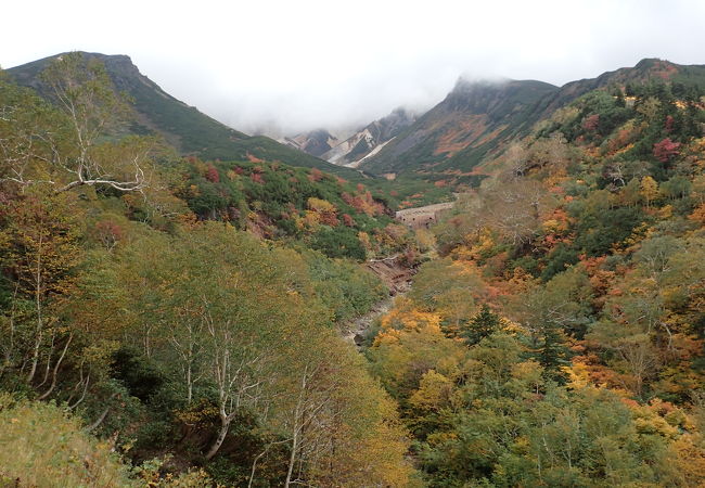 紅葉の時期にお勧めです