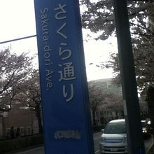 さくら通り付近