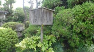 けっこうしっかり残っていました。