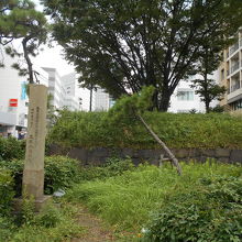 7mほどの幅の石垣と植栽を残すのみ。