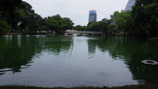 都会の喧騒を忘れることができました