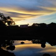 【クチコミ初登場】コンドミニアムに囲まれたとても綺麗な夕陽が見れる野生動物の保護区です!!