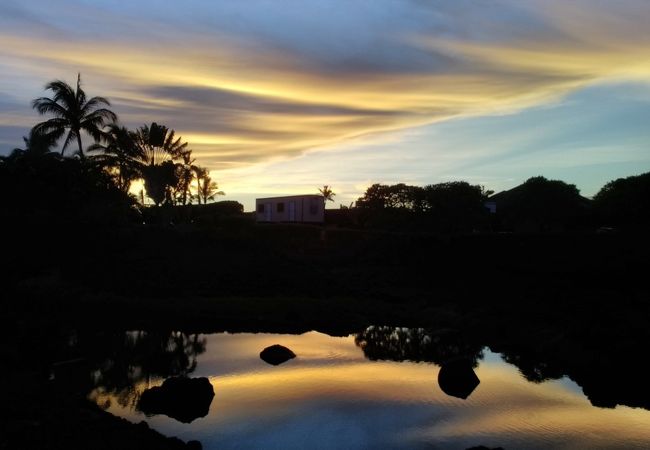 【クチコミ初登場】コンドミニアムに囲まれたとても綺麗な夕陽が見れる野生動物の保護区です!!