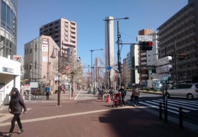 山手通りと早稲田通りの交差点近くにあり、たいへん分かりやすい