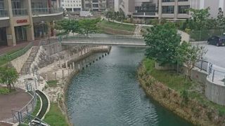 都市部にあることからお世辞にも綺麗な川とは言えませんが