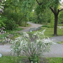 植物ごとに番号と名前が書かれています