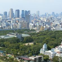 庭園から見える大阪市美術館。