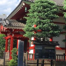 敷地はほぼアスファルト