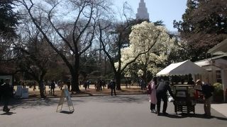 2019年に入場料がかなり値上げしたのが残念です。